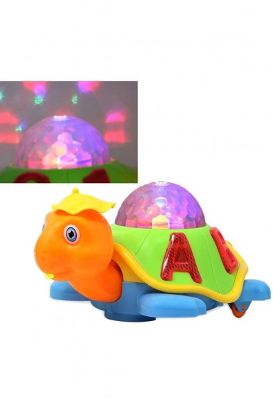 Pilli Işıklı Kaplumbağa