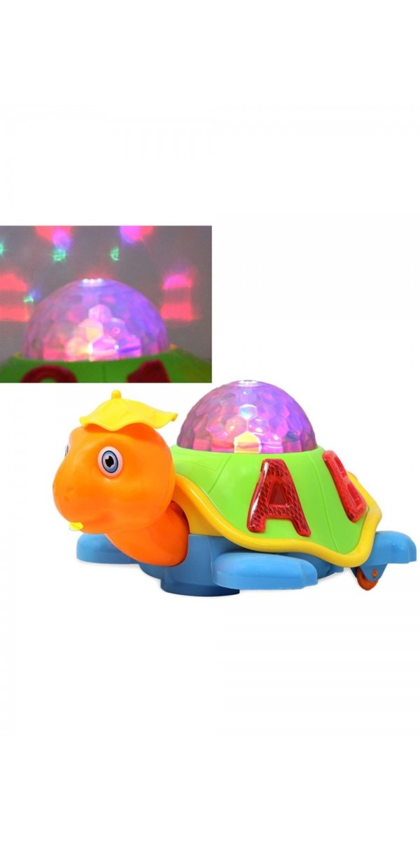 Pilli Işıklı Kaplumbağa