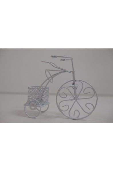 10lu Metal Bisiklet