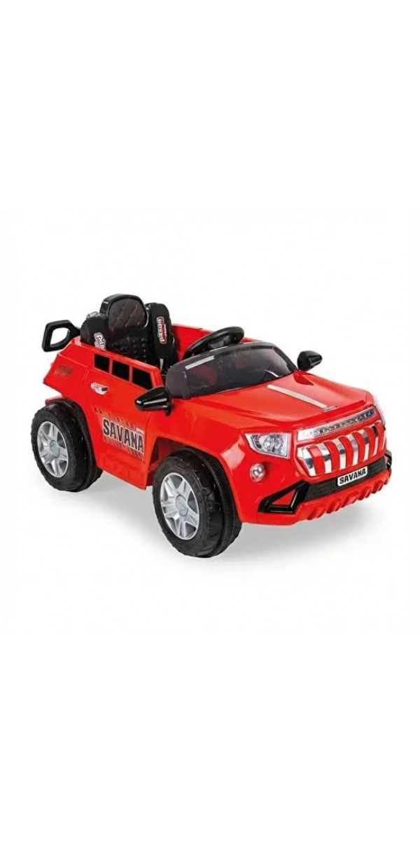 savana 12 volt kumandalı kapıları açılan 