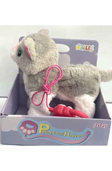 sesli pilli oyun arkadaşım kedi