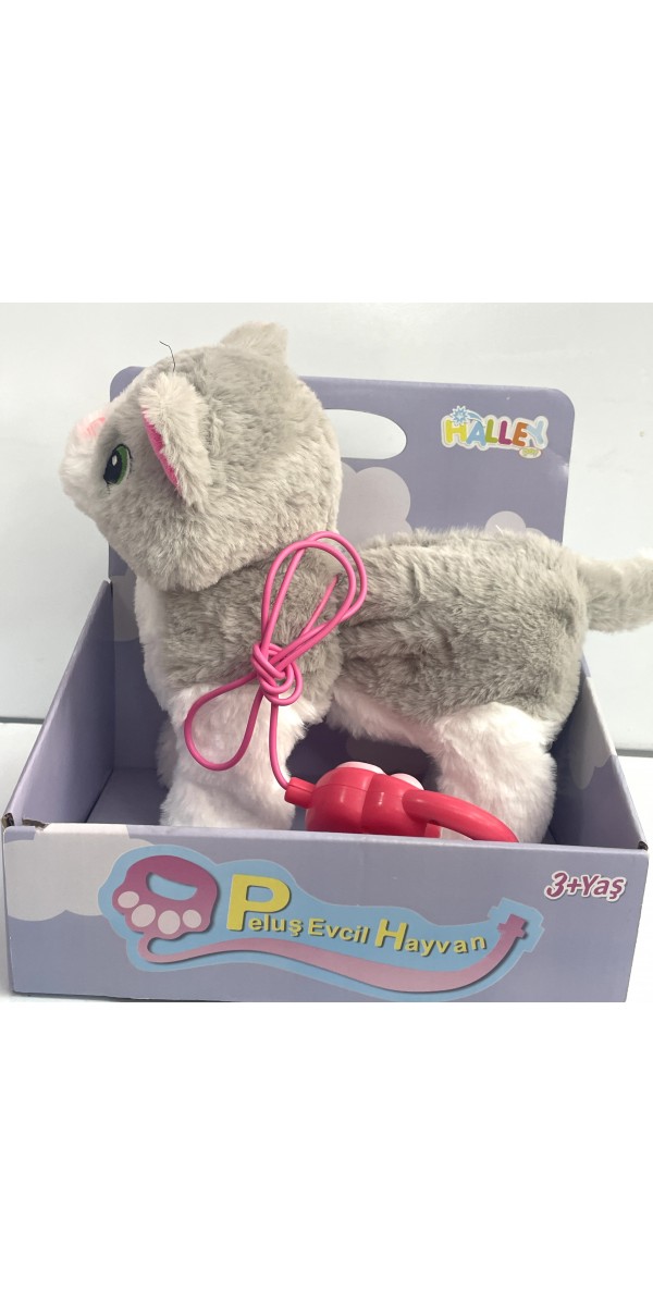 sesli pilli oyun arkadaşım kedi