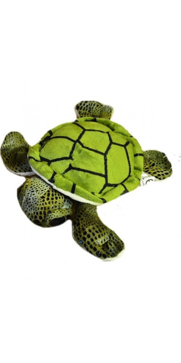 caretta  20 cm