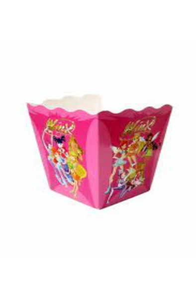 10'lu Winx Kutu