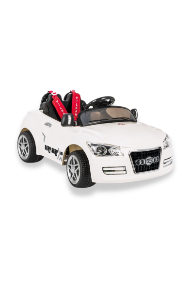 tery bery 12 volt kumandalı